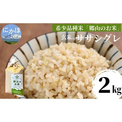 ふるさと納税 秋田県 にかほ市 ササニシキの親　農薬不使用のササシグレ「郷山のお米」2kg（玄米）