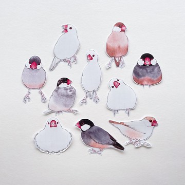 Rolia's 手作 文鳥 防水透明白墨貼紙