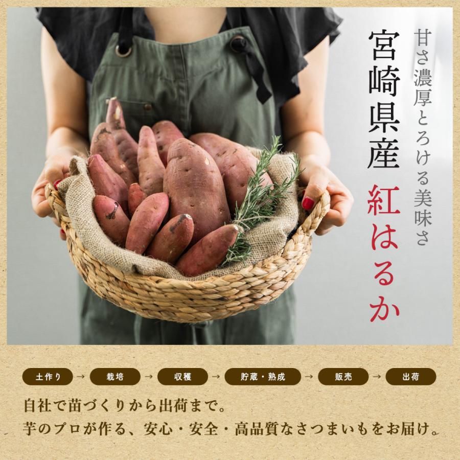 宮崎県産 さつまいも 紅はるか(生芋) 5kg 送料無料 サツマイモ