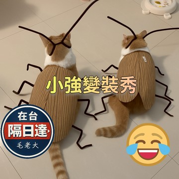 🔥毛老大.隔日達🔥貓咪蟑螂裝 狗狗蟑螂服 寵物搞怪服裝手工diy材料包創意扭扭棒觸角裝扮小道具 材料包