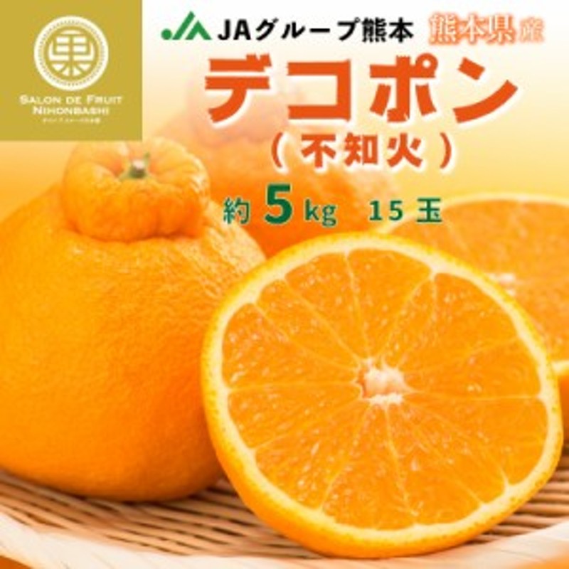 大玉　JA熊本うき　15玉　熊本デコポン　予約　お年賀　2024年1月1日必着]　冬ギフト　約　デコポン　熊本県産　御年賀　5kg　お正月必着指定　LINEショッピング