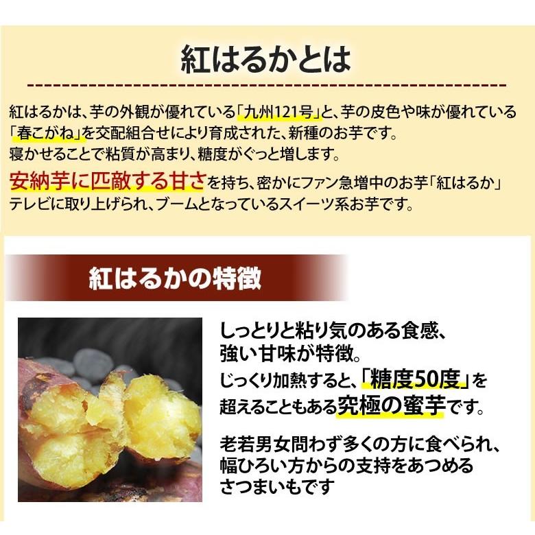 さつまいも 紅はるか 送料無料 4.5kg 熊本県産 べにはるか サツマイモ 紅蜜芋 焼き芋 芋 いも