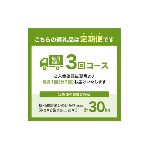 ふるさと納税 京都府 木津川市 お米30kg（10kg×3回）特別栽培米