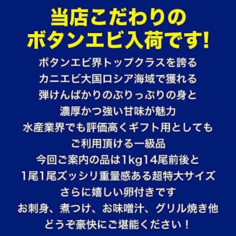 ボタンエビ 超特大 1kg前後(14尾前後)えび 海老