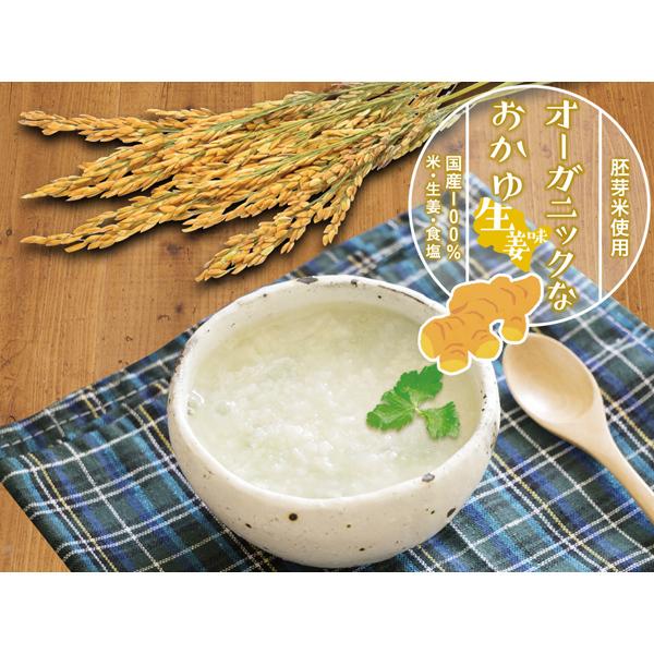 マルシマ オーガニックなおかゆ＜生姜味＞ 200g×20袋セット まとめ買い送料無料