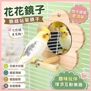 🔥臺灣熱賣⚡️鳥籠配件鸚鵡花椒木站架鏡子趣味懸掛加大號鏡子🎉
