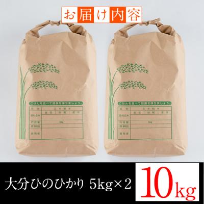 ふるさと納税 佐伯市 大分ひのひかり(計10kg・5kg×2袋)