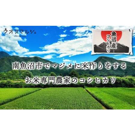 ふるさと納税  おかずのいらない 魚沼産コシヒカリ　白米１０ｋｇ 新潟県南魚沼市