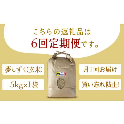 ふるさと納税 佐賀県 江北町 特別栽培米 江北町産 夢しずく 1等米 玄米 5kg[HAJ017]