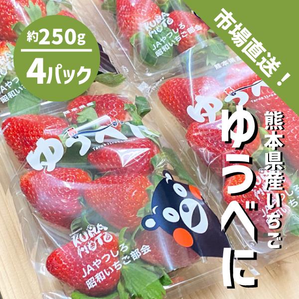 熊本県産 いちご ゆうべに 4パック 熊本いちご イチゴ ケーキ ジャム サラダ 贈答 ギフト 自宅用