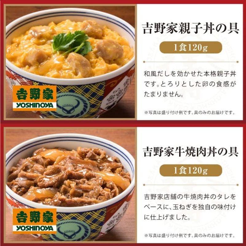 吉野家×大阪王将 丼の具＆チャーハン詰め合わせセット（合計10食）どんぶり 冷凍食品 通販 牛丼の具 親子丼 豚丼 牛焼肉丼 焼鶏丼 仕送り