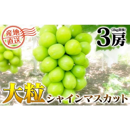 ふるさと納税 山梨県 富士川町 富士川町産シャインマスカット３房（2kg前後） 大粒 産地直送 フルーツ ブドウ ぶどう 先行予約 山梨