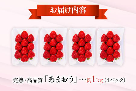 ごほうびいちご （約250g×4パック ） ＜2024年1月以降順次発送予定＞ いちご 苺 高品質 完熟 フルーツ 果物 お取り寄せ ご当地グルメ 福岡土産 取り寄せ グルメ 福岡県 食品