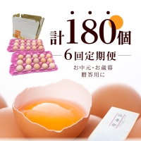 名古屋コーチン卵(30個入り)×6回（計180個） [006K03-T]