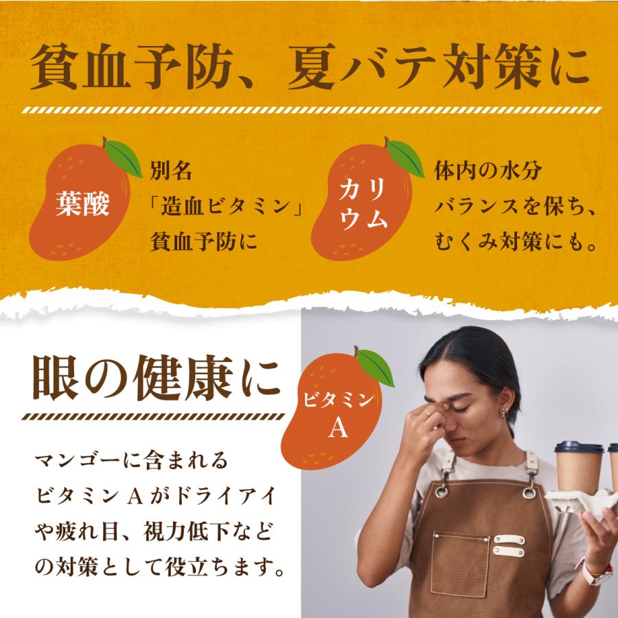 ドライマンゴー 有機 オーガニック 100g スリランカ マンゴー ドライフルーツ 砂糖不使用 無添加 有機JAS認証 美容 健康