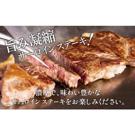 ふるさと納税 おおいた和牛 サーロインステーキ 約180g×4枚(合計720g)  牛肉 和牛 豊後牛 国産牛 赤身肉 焼き肉 焼肉 ステーキ肉 大分県.. 大分県津久見市