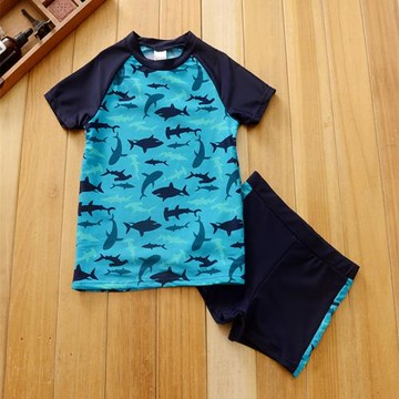 外貿品牌歐美兒童卡通游泳衣男中大童分體短袖平角速干防曬沖浪服