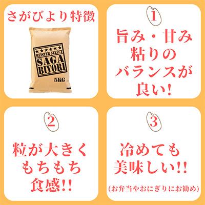 ふるさと納税 伊万里市 無洗米 食べ比べ!さがびより5kg・夢しずく5kg(伊万里市)全12回