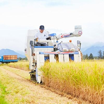 ふるさと納税 川西町 令和5年産　つや姫　4kg