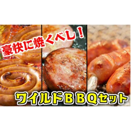 ふるさと納税 1547R_豪快に焼くべし！ワイルドBBQセット 大分県国東市