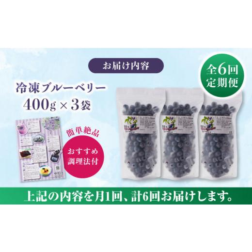 ふるさと納税 熊本県 山都町 冷凍ブルーベリー 計1.2kg 400g × 3パック 熊本県産 山都町産 ブルーベリー フルーツ スムージー 果物 小分…