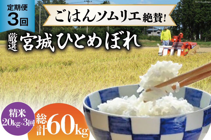 米 『定期便』厳選宮城ひとめぼれ 精米20kg 全3回 [菅原商店 宮城県 加美町 44580975]