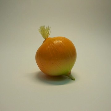 《食物模型》洋蔥 蔬菜模型 - B2007