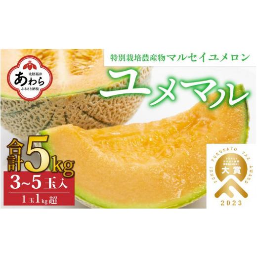 ふるさと納税 福井県 あわら市 マルセイユメロン 3〜5玉入「ユメマル」5kg 《とろけるような食感の絶品 赤肉メロン》／ 果物 フルーツ 産地直送 …