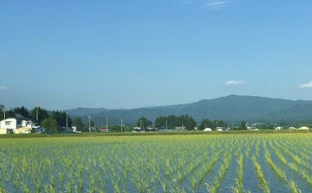 AD022　★令和5年産★特A受賞　銀河のしずく5kg　岩手県紫波町産