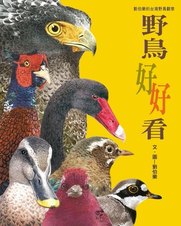 野鳥好好看：劉伯樂的台灣野鳥觀察【二手書_良好】TAAZE讀冊生活