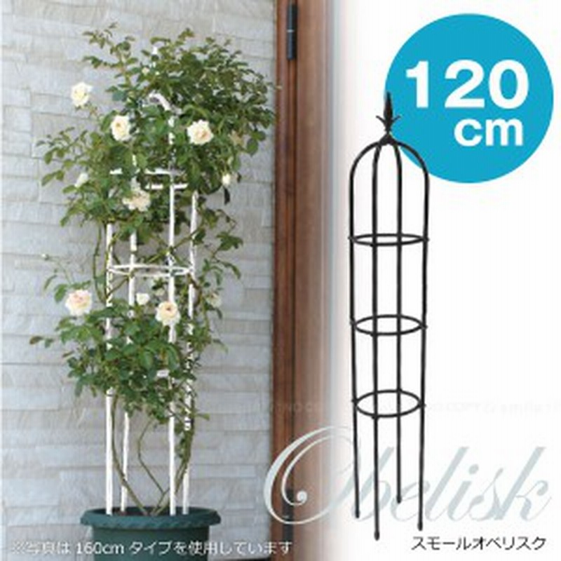 スモールオベリスク1cm Daim 通販 Lineポイント最大1 0 Get Lineショッピング