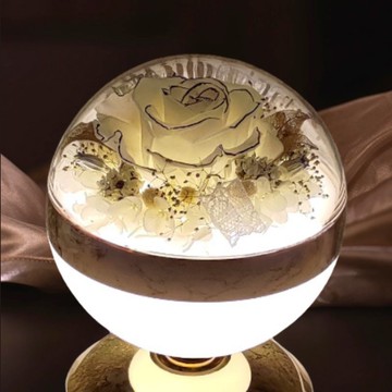 花樣時光圓舞燈 - 月白(黑滾邊)