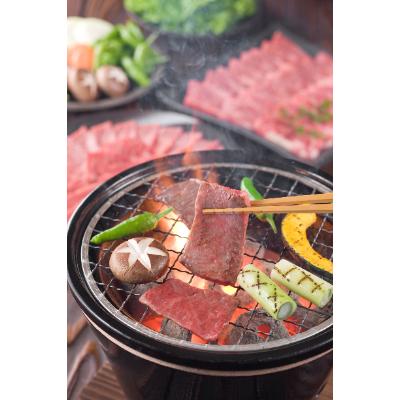 ふるさと納税 日高町 熊野牛　ロース・焼肉　500g(粉山椒付)