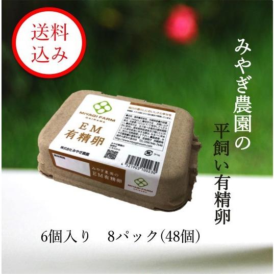 みやぎ農園の平飼い有精卵　(6個入り8パック※48個)