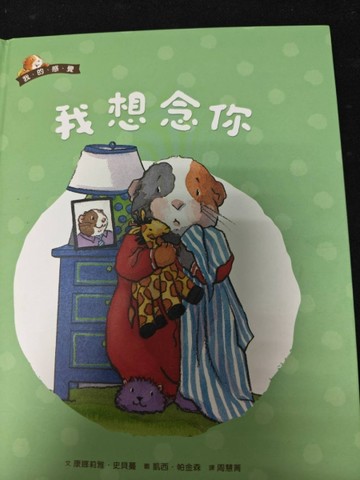 我想念你[二手書_近全新]