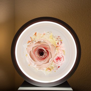 永生花月圓花燈 - 淺粉紅