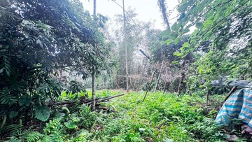 獨家梅山水安靖村農建地  ｜嘉義縣梅山鄉大草埔段