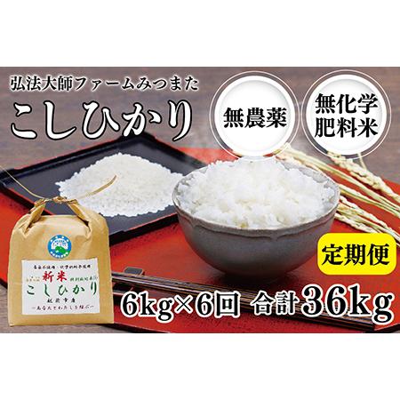 ふるさと納税 令和5年度産新米 こしひかり 6kg 福井県越前市