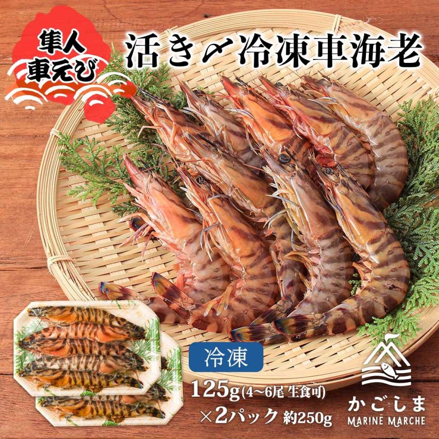 [隼人車えび] 海鮮 活き〆冷凍車海老約125g(4~6尾)×2パック(生食可) 約250g えび 車エビ 真空パック 鮮度 新鮮 鹿児島 急速 刺身 贈り物 ギフト お中元 お歳暮