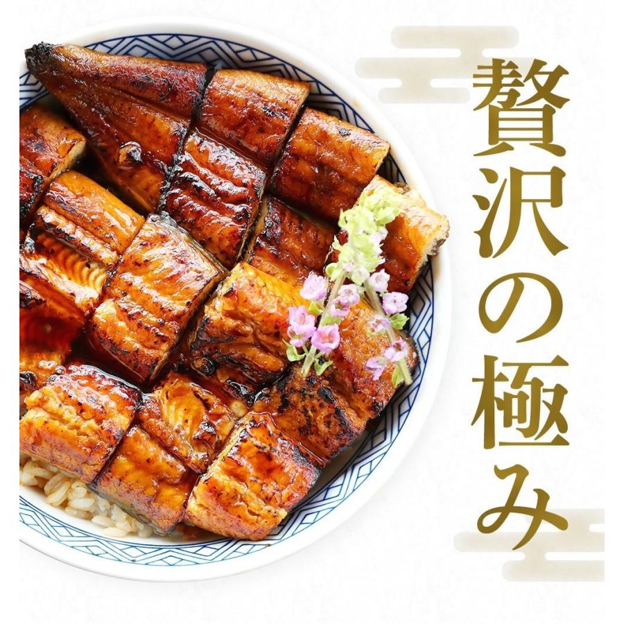 うなぎ 蒲焼き ウナギ 鰻 新仔 500円OFFクーポン有 新仔にほんうなぎ蒲焼き 約140g×2尾 280g前後 台湾産 タレ山椒付 食べ方ガイド付 化粧箱入 シールのし対応