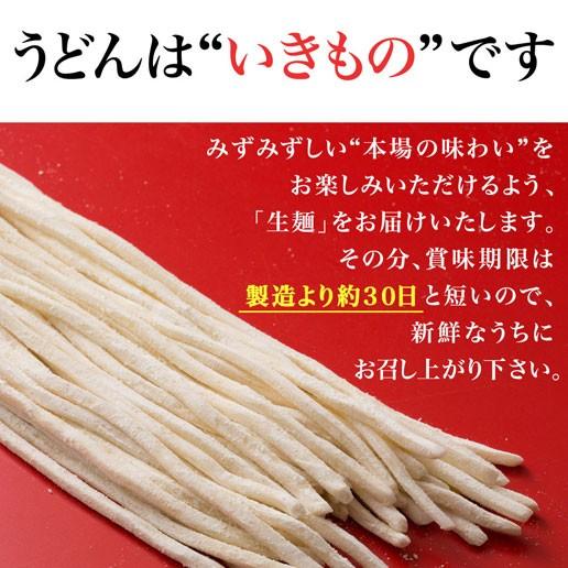 うどん 讃岐うどん 送料無料 セール 太麺 本場 6人前 セット お取り寄せ  特産品 名物商品