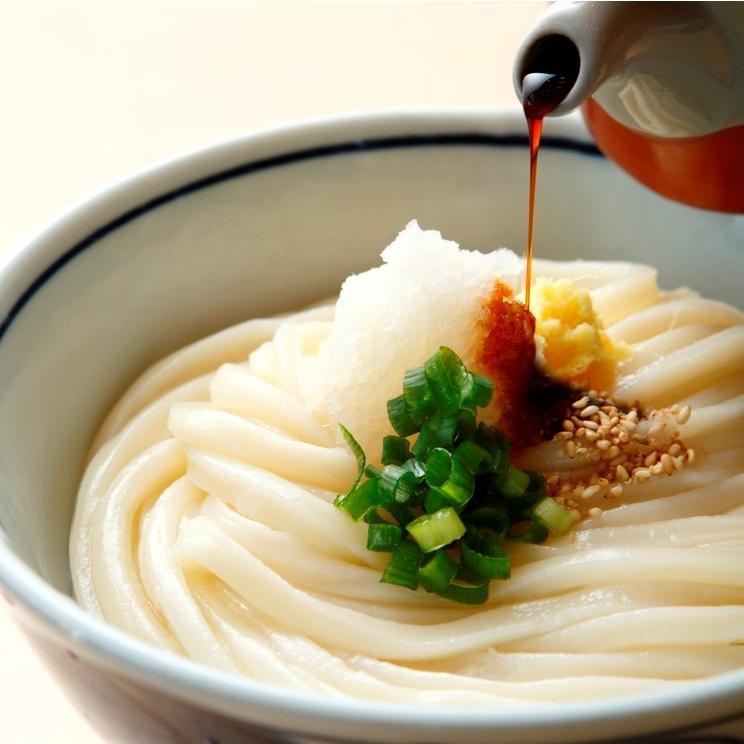 さぬき麺業 さぬき半生うどん＜白＞6人前 めんつゆ付