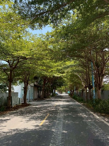 馬鳴投資自產農地~正臨8米路地主急售｜彰化縣秀水鄉馬鳴段