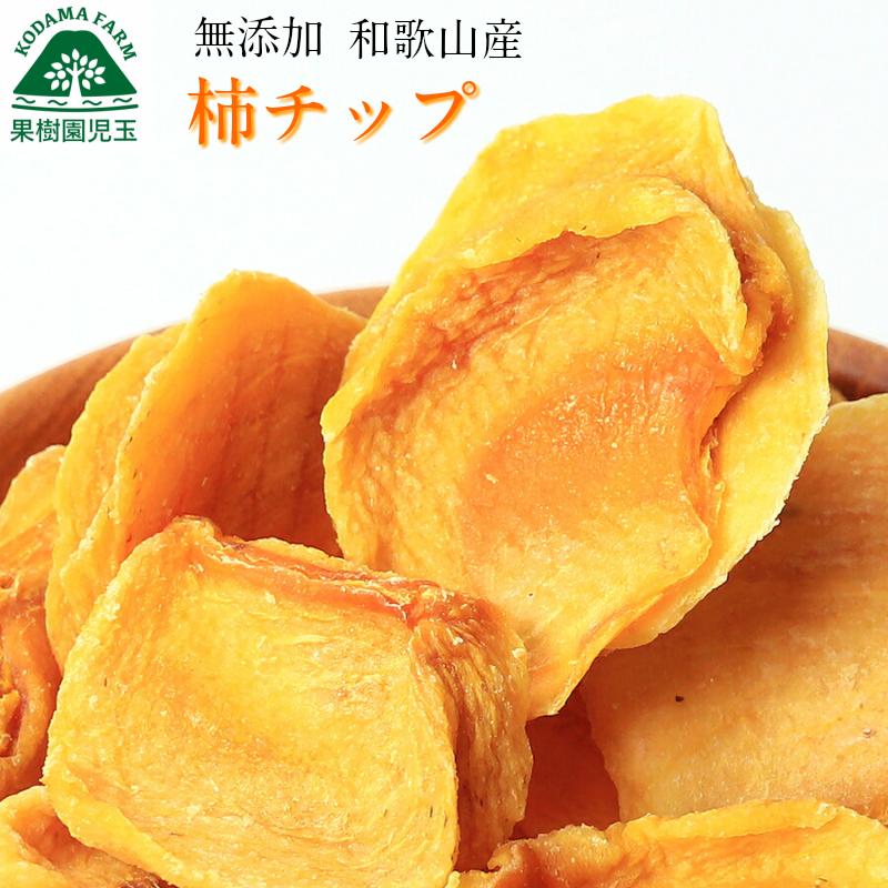 柿チップ 無添加 お試し 100g 和歌山 送料無料 ポイント消化