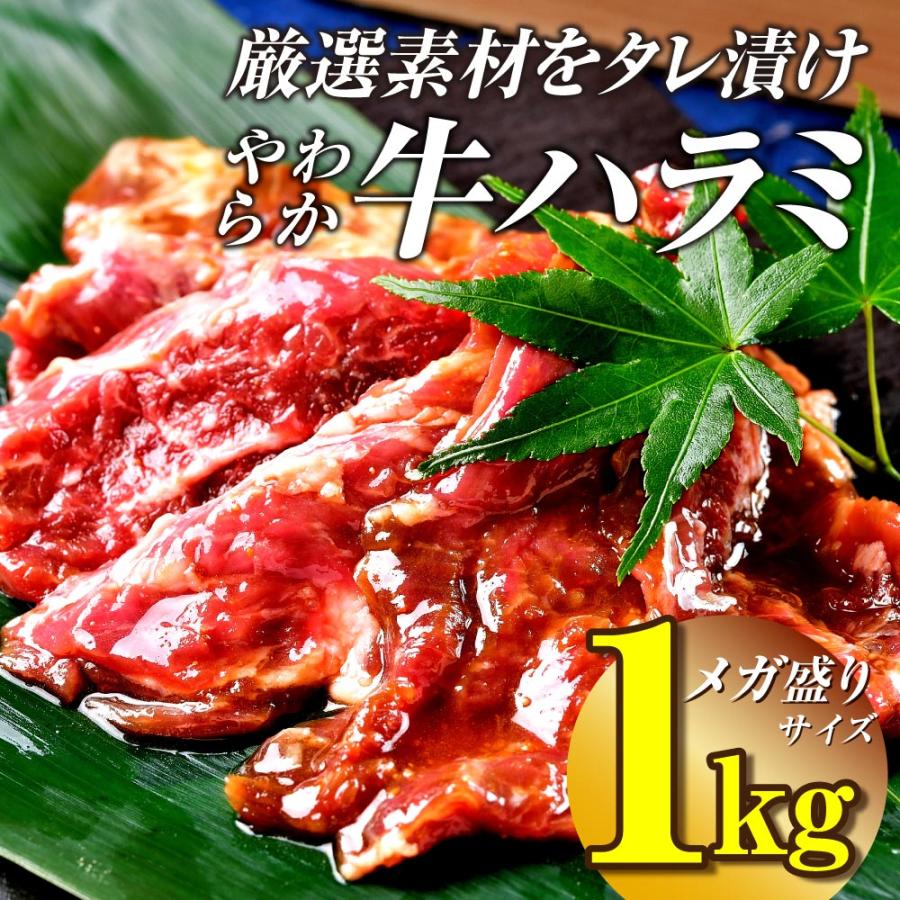 焼肉 セット 肉 牛肉 柔らか ハラミ タレ漬け メガ盛り 1kg 冷凍 食品 BBQ バーベキュー お取り寄せ グルメ