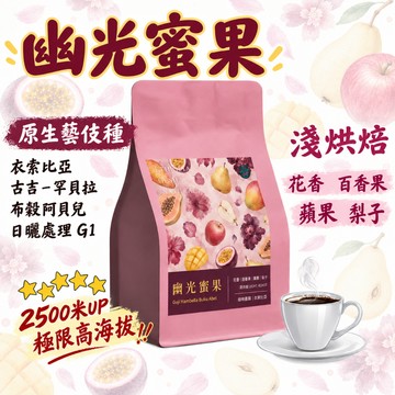 【隔日到貨 藝伎咖啡 幽光蜜果《藝伎當水喝》精品系列】衣索比亞 日曬處理 淺烘焙 藝妓 藝伎咖啡豆