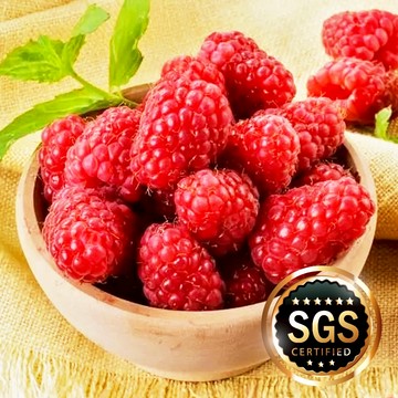 冷凍覆盆莓 I解凍即可食【海產教父】