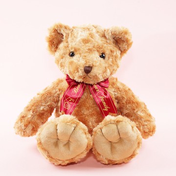 45公分捲毛泰迪熊 可繡字 玫瑰紋布 共三色 （單隻）