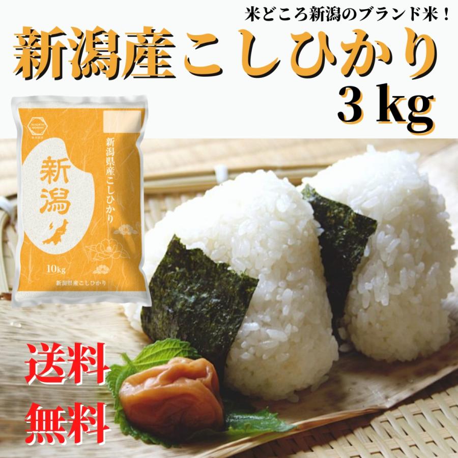 新米 令和５年産 米 お米 3kg 送料無料 新潟産 コシヒカリ 精米