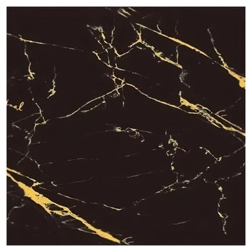 CampAnimal 走露吧 地墊 厚款  270 x 270cm  黑色 + 金色